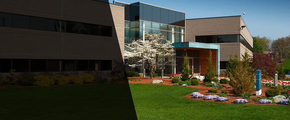 Falls Church Landscapers