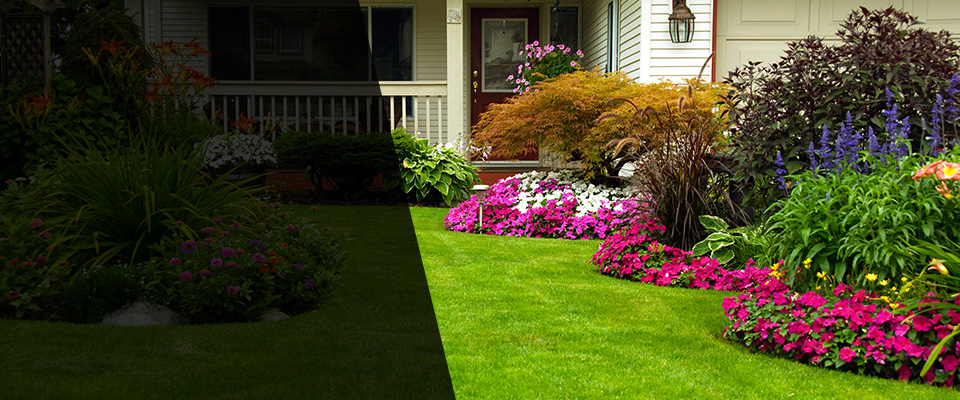 Falls Church Landscapers
