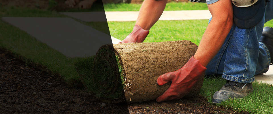 Falls Church Landscapers